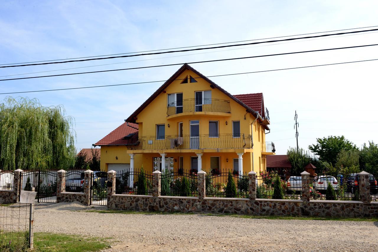 Sînmartin Casa Flora酒店 外观 照片